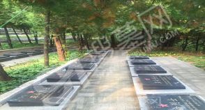 陵园风景图-4